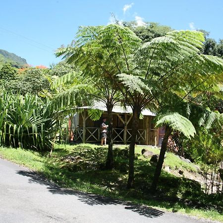Natty Tropical Valley Roseau Buitenkant foto