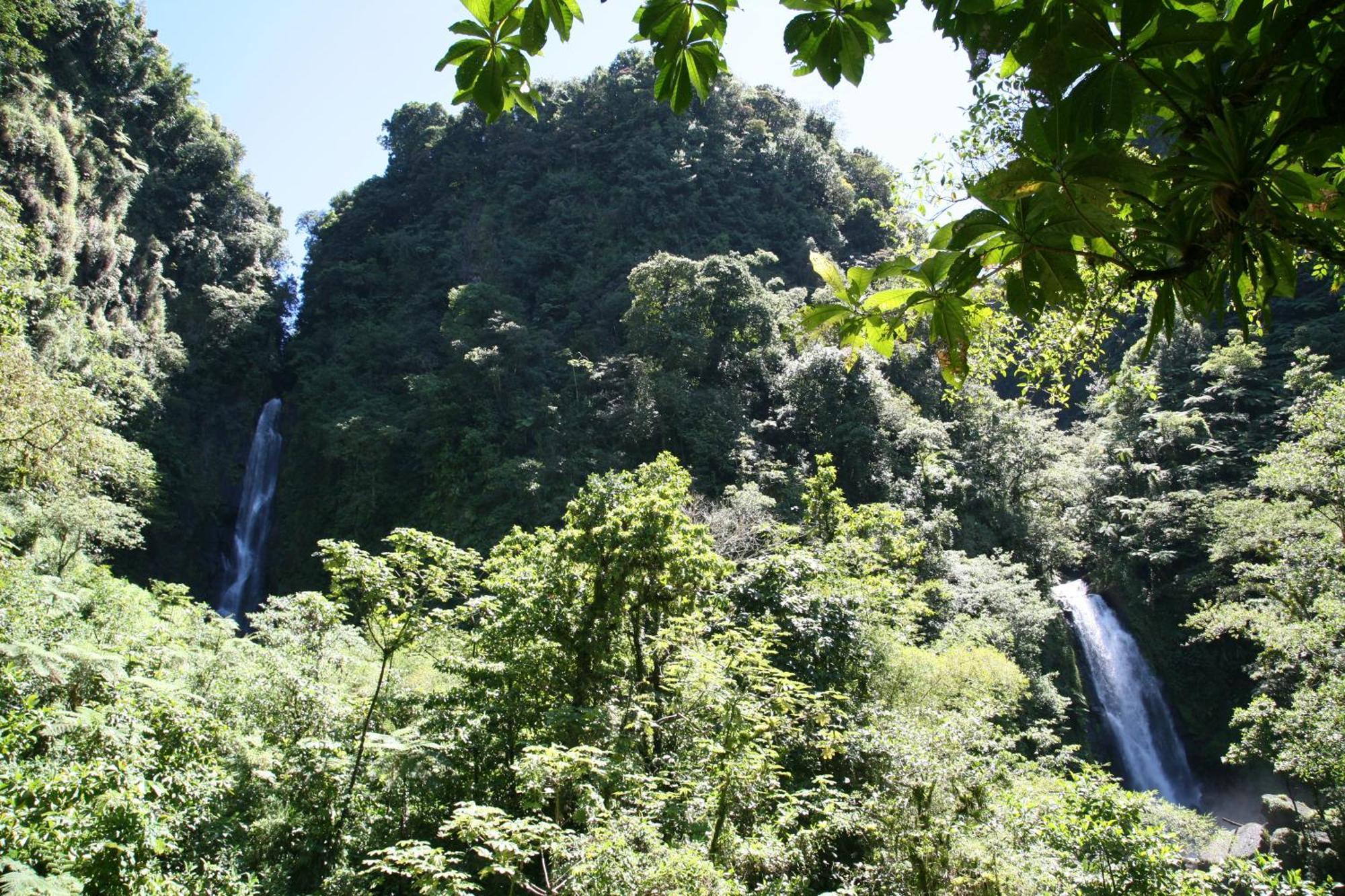 Natty Tropical Valley Roseau Buitenkant foto