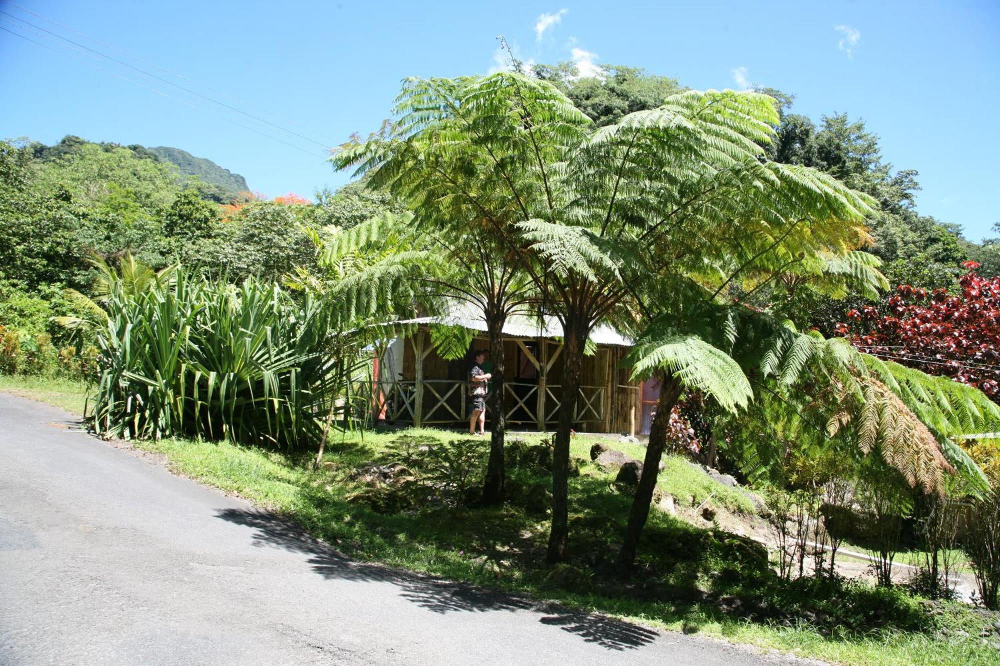 Natty Tropical Valley Roseau Buitenkant foto