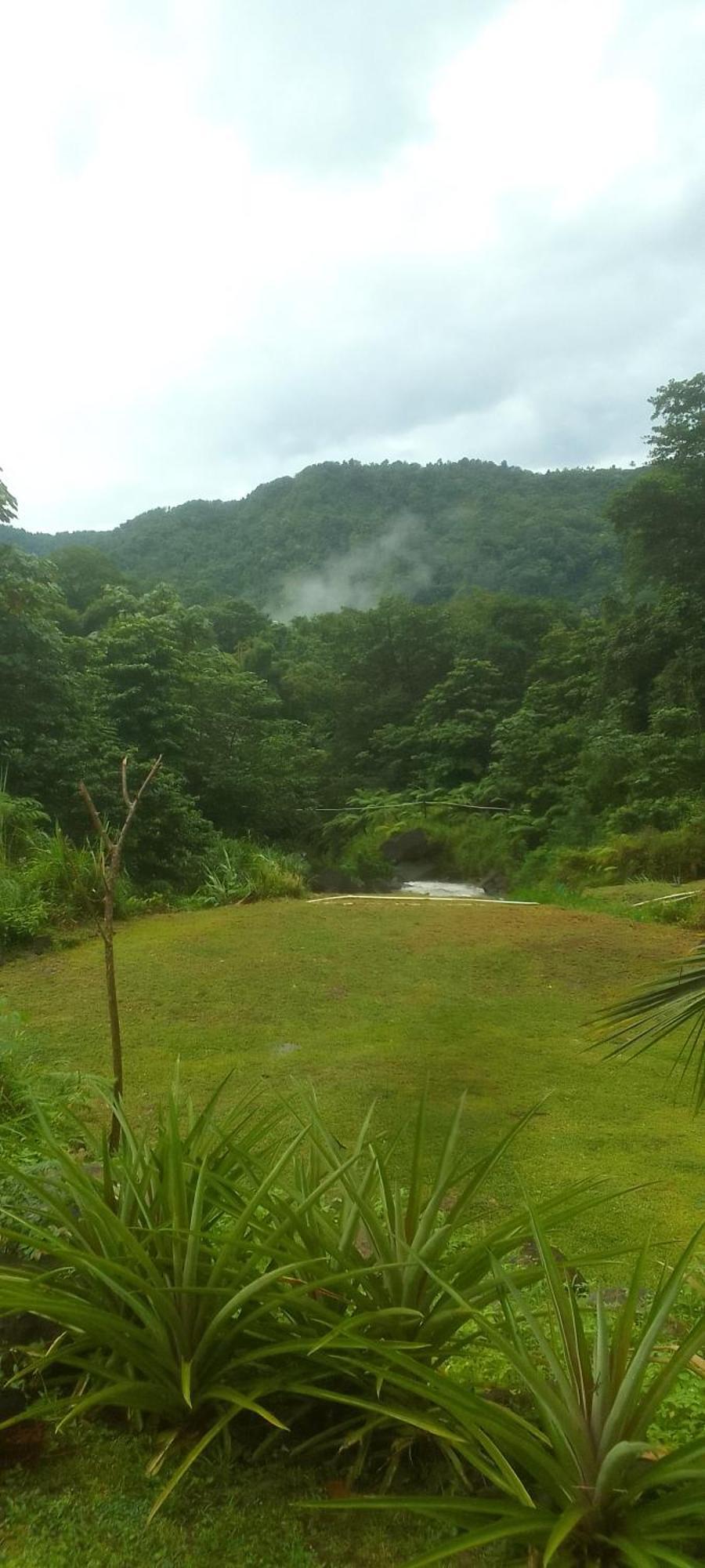 Natty Tropical Valley Roseau Buitenkant foto