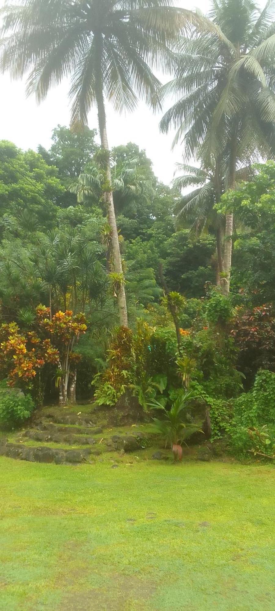 Natty Tropical Valley Roseau Buitenkant foto