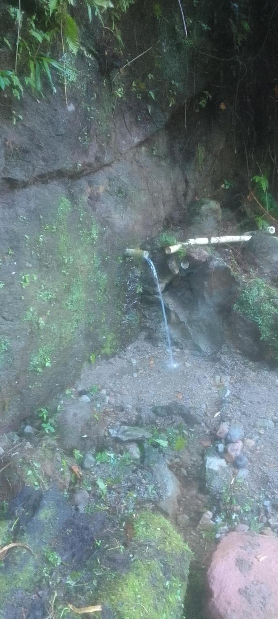 Natty Tropical Valley Roseau Buitenkant foto