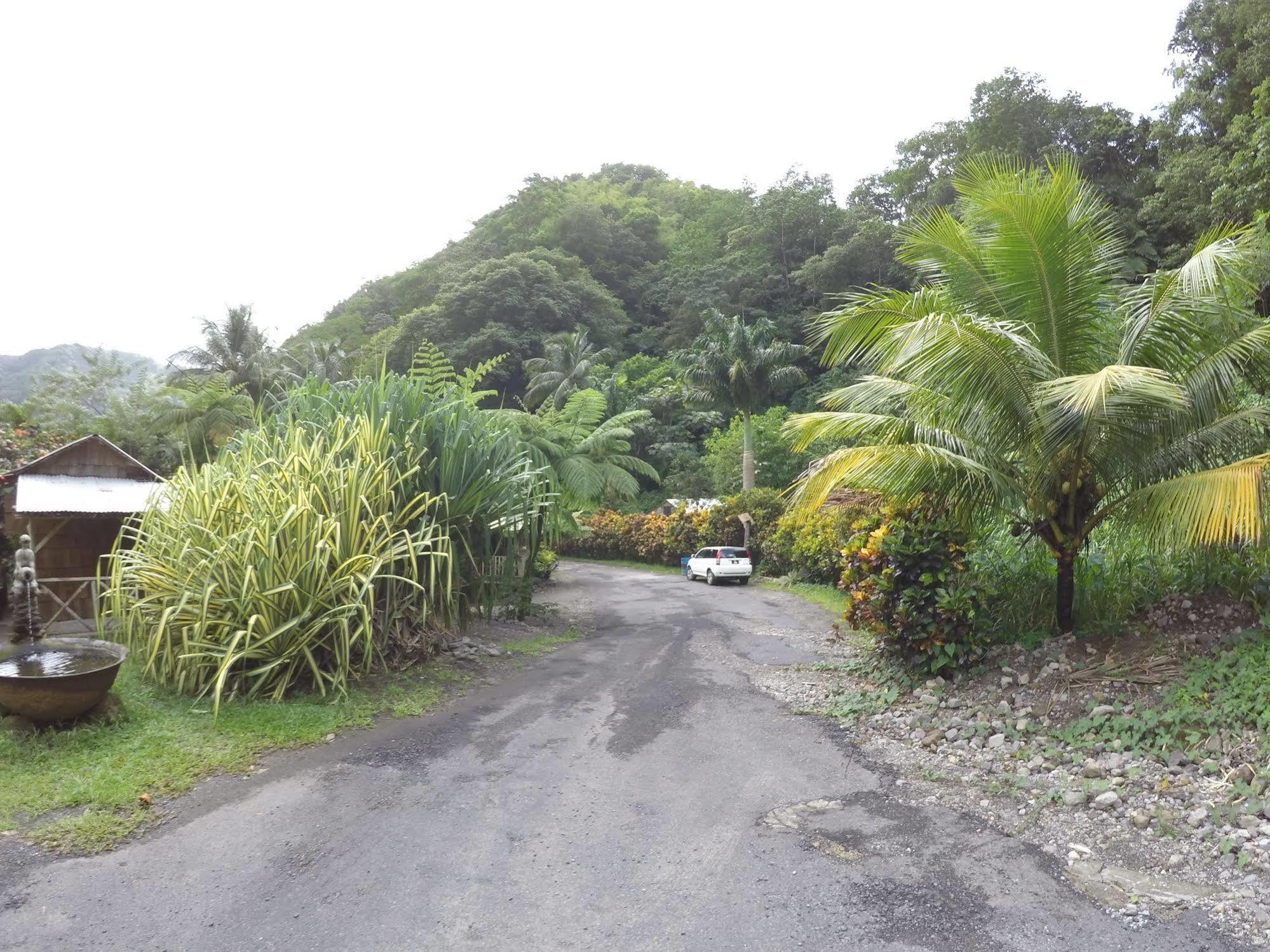 Natty Tropical Valley Roseau Buitenkant foto