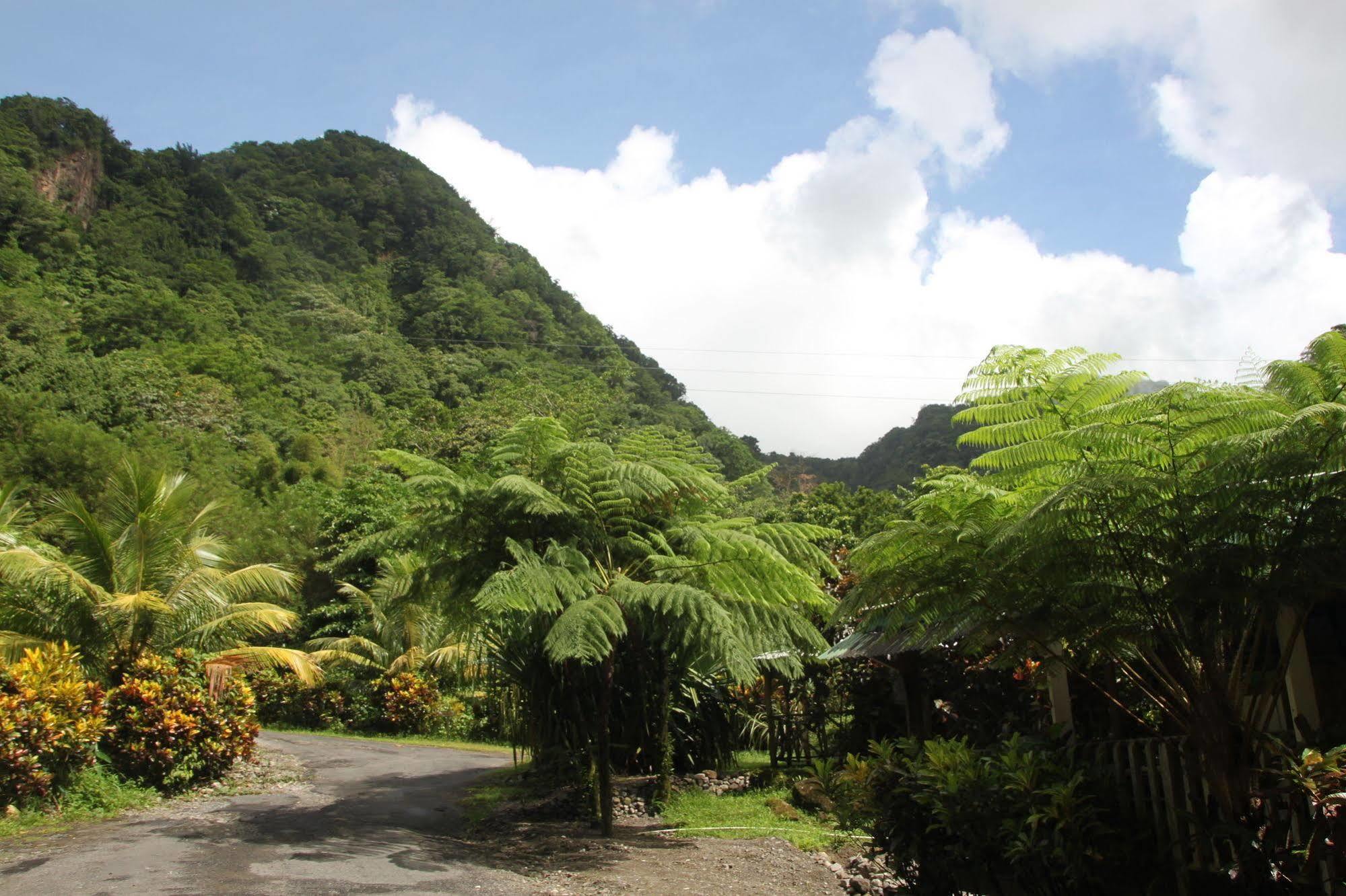 Natty Tropical Valley Roseau Buitenkant foto